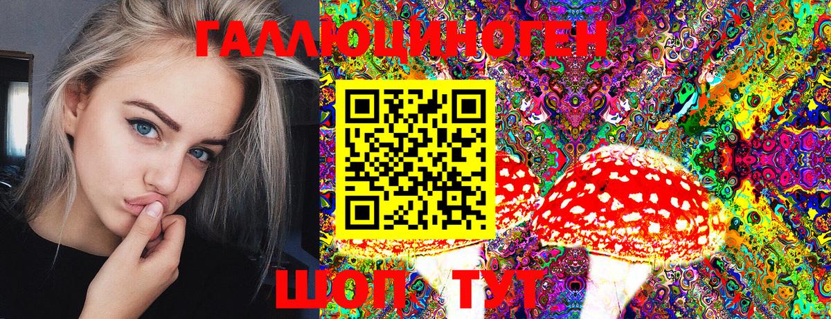Избербаш  Псилоцибиновые грибы Magic Shrooms  Вход с VPN 